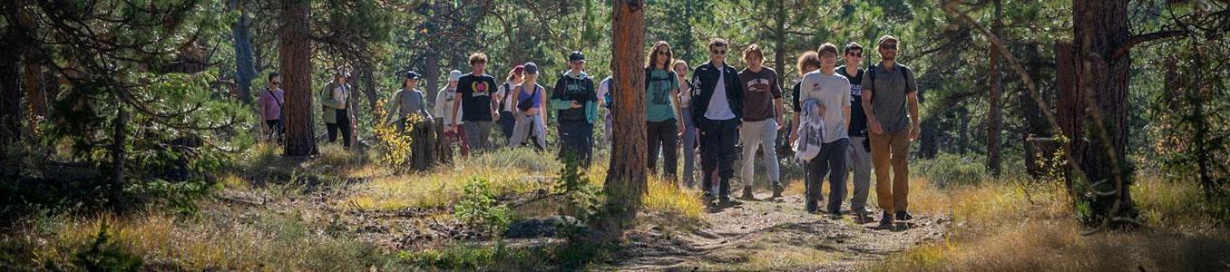 group hiking in woods